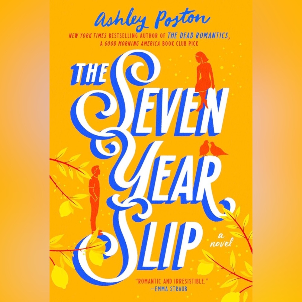 The Seven Year Slip Novel - NEW!!